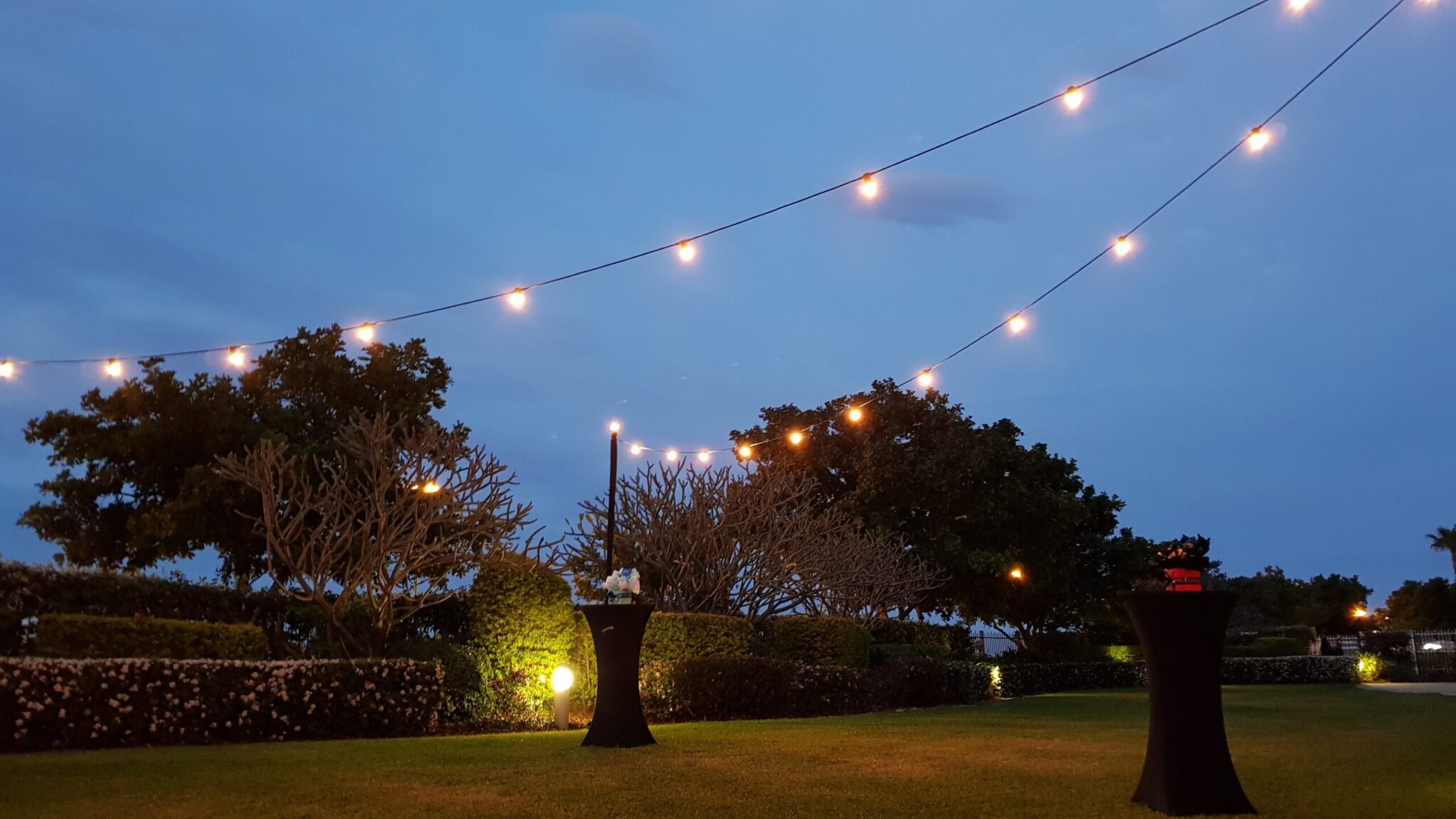 Festoon Outside Lights